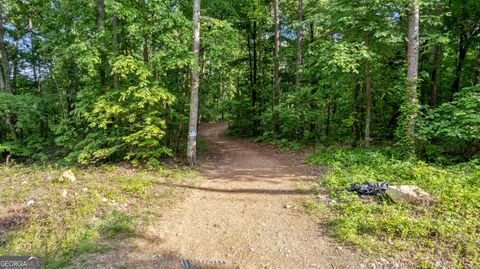 Photo of 793 Ireland Drive, Kingston, GA 30145 (MLS # 10295293)