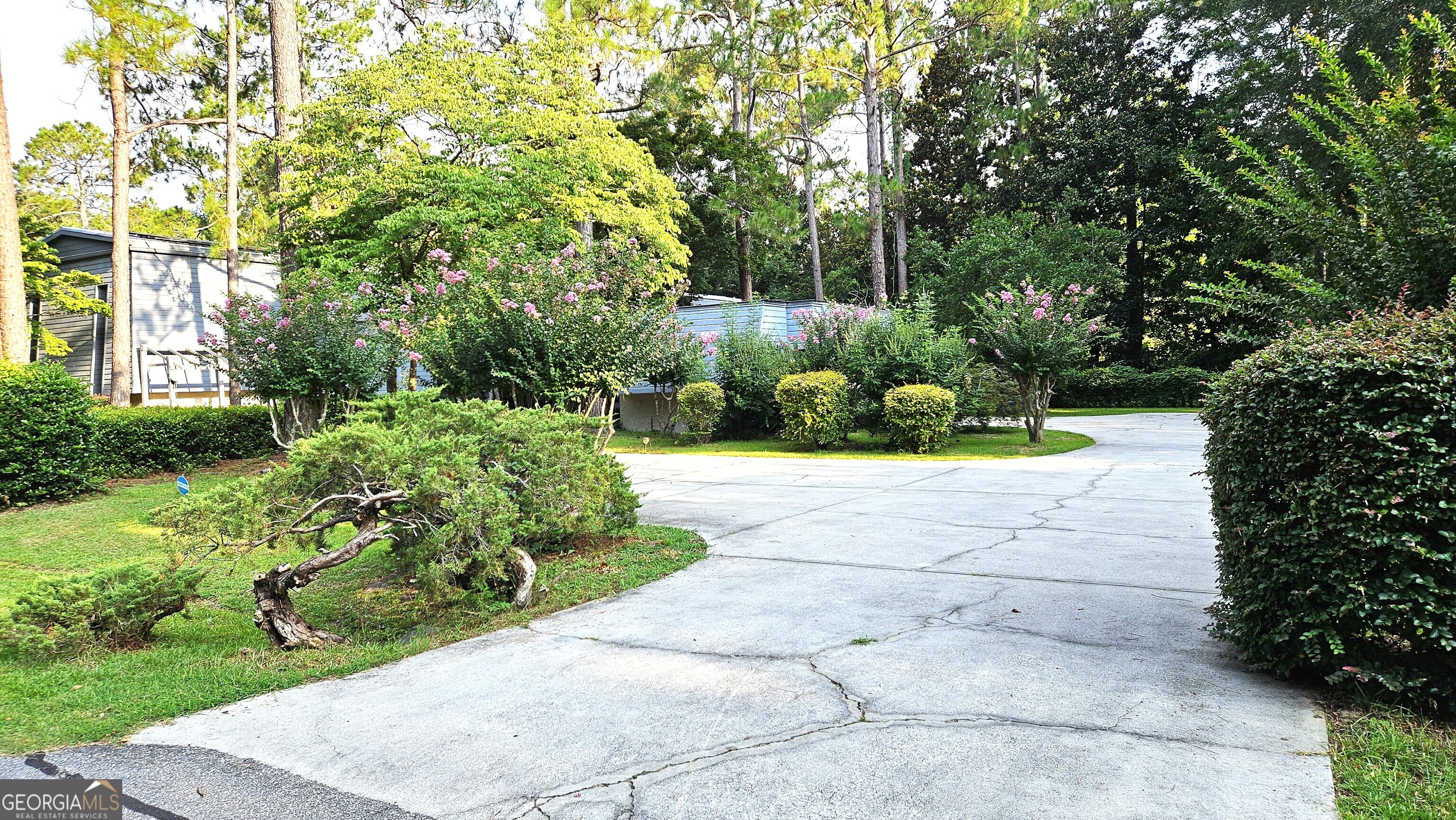 217 Wildwood DR