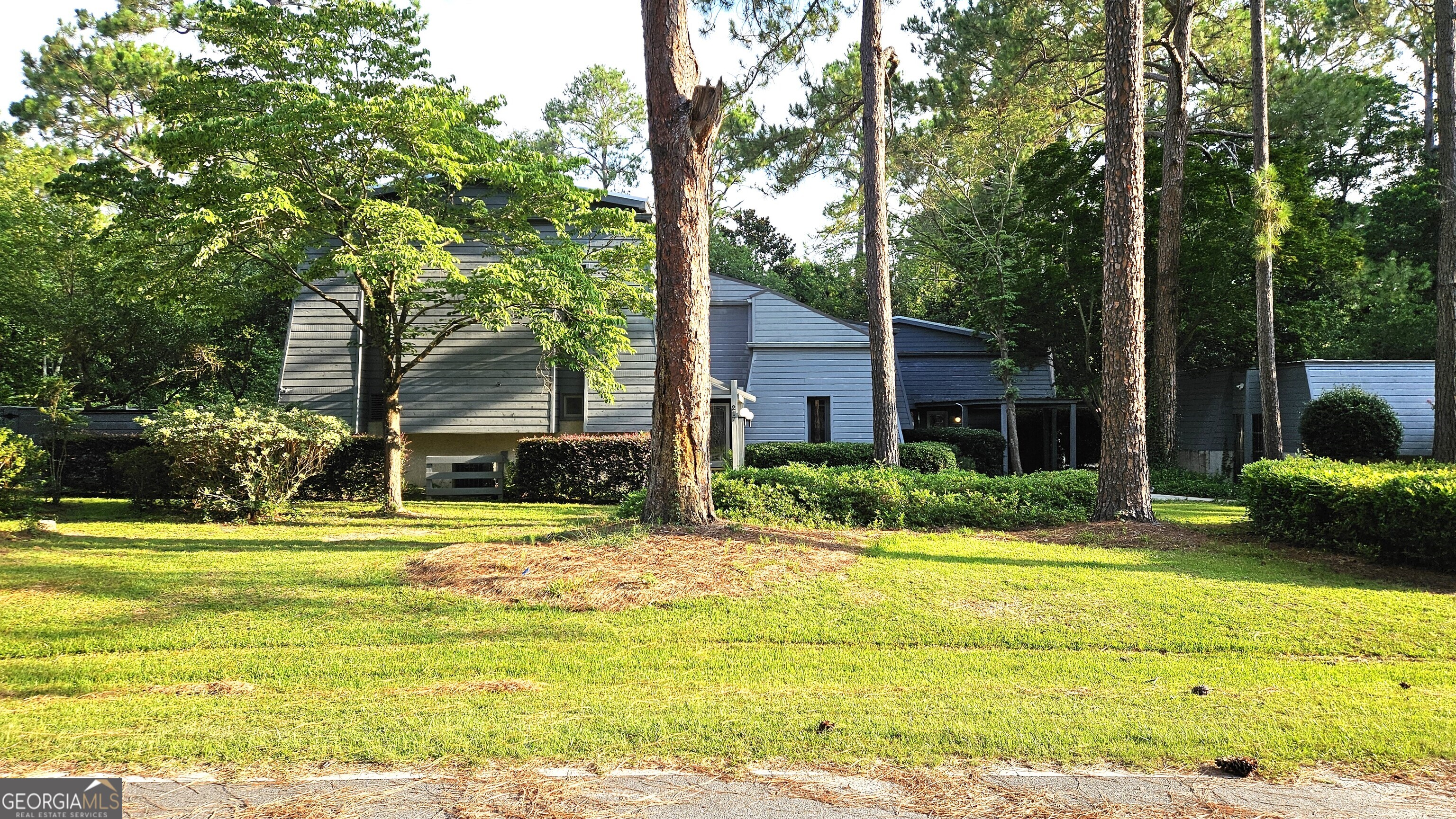If you are looking for a unique, one of a kind, large custom built home, with a beautiful landscaped lot, and pool then look no further than 217 Wildwood. This renovated, 3,862 SqFt home has much to offer. Just a few of the renovations include new gable metal roof with Solar panels (power bill reduced by 65%), new kitchen and SS appliances, new LVP flooring downstairs, new carpet upstairs. The updated master suite includes a private office, patio, master bedroom, 2 bathrooms one with new soaker tub and the other new glass walk in shower, and a large cedar lined walk in closet. Another unique feature is the 33'x38 flex room with a full bathroom that can be used as a In-Law Suite, bedroom, gym, home theater, or whatever you need. Step out back to your own private oasis which includes a pergola with sunscreen & concrete floor, inground heated pool with new liner and pump, raised garden beds, fruit trees and grape arbor. 217 Wildwood is conveniently located in Statesboro .5 miles to the hospital & GSU, less than 3 miles to restaraunts, shopping, and downtown.