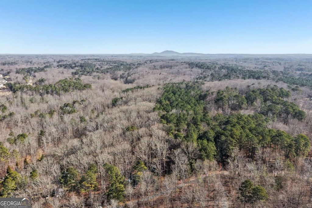 Photo of 45 Pruitt Road, Alpharetta, GA 30004 (MLS # 10686146)