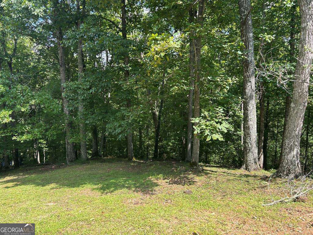 Great building lot in quaint little community between Blairsville and Young Harris. Mostly wooded with some open meadow and a fast flowing stream. Easy access with all paved roads, underground utilities and reasonable restrictions to protect your investment.