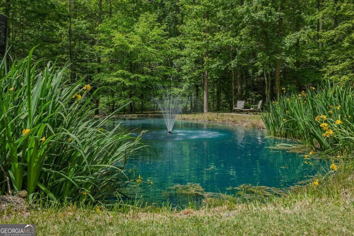 Ellijay, Georgia, 30540, United States, 3 Bedrooms Bedrooms, ,3 BathroomsBathrooms,Residential,Active,2045510