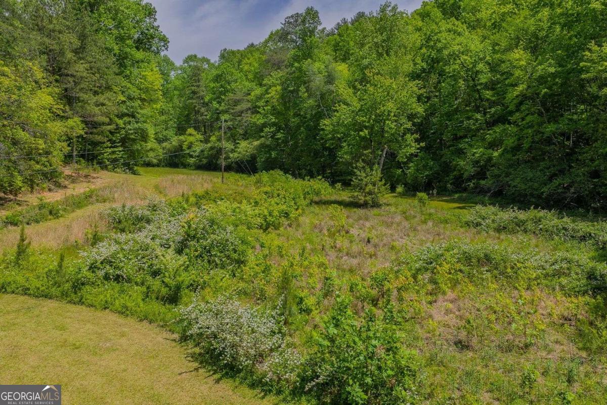 Ellijay, Georgia, 30540, United States, 3 Bedrooms Bedrooms, ,3 BathroomsBathrooms,Residential,Active,2045510