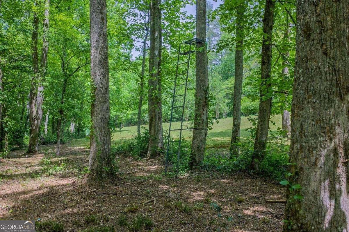 Ellijay, Georgia, 30540, United States, 3 Bedrooms Bedrooms, ,3 BathroomsBathrooms,Residential,Active,2045510