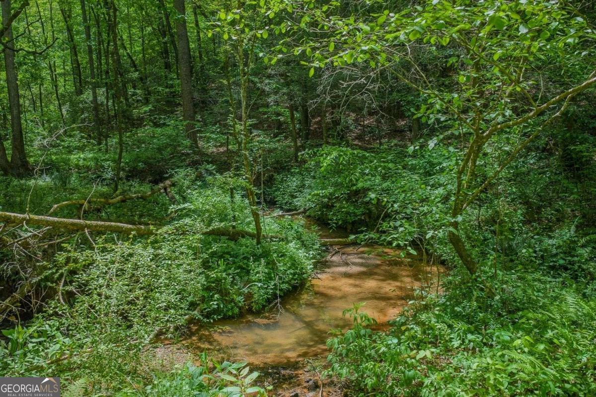 Ellijay, Georgia, 30540, United States, 3 Bedrooms Bedrooms, ,3 BathroomsBathrooms,Residential,Active,2045510