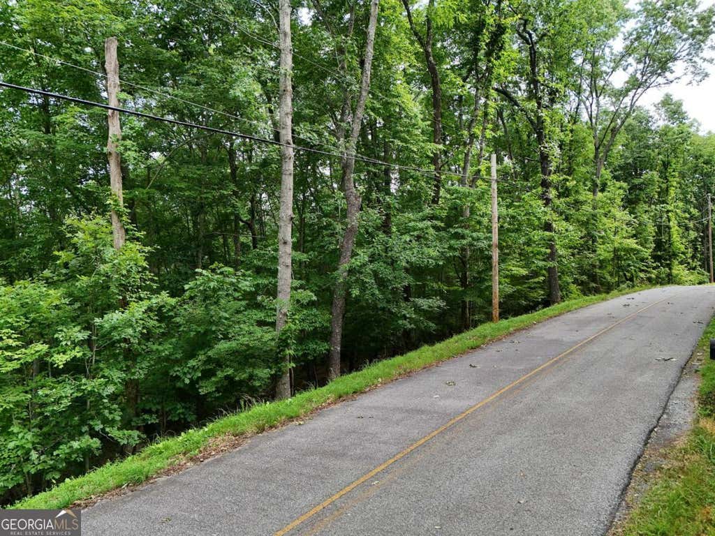 Photo of 131 Laurel Crossing, Blue Ridge, GA 30513 (MLS # 10792025)
