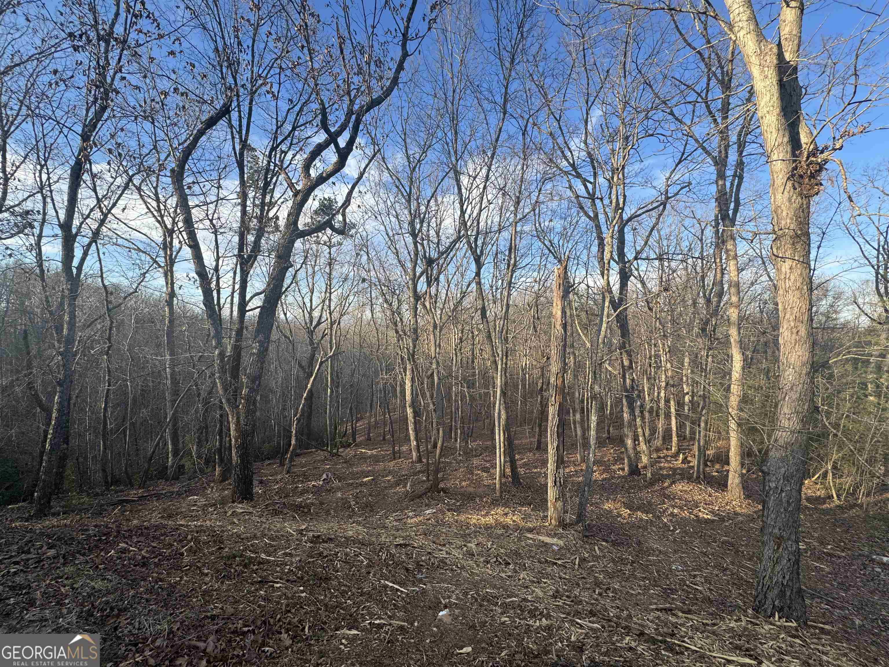 LOT 57 Teel Mtn DR
