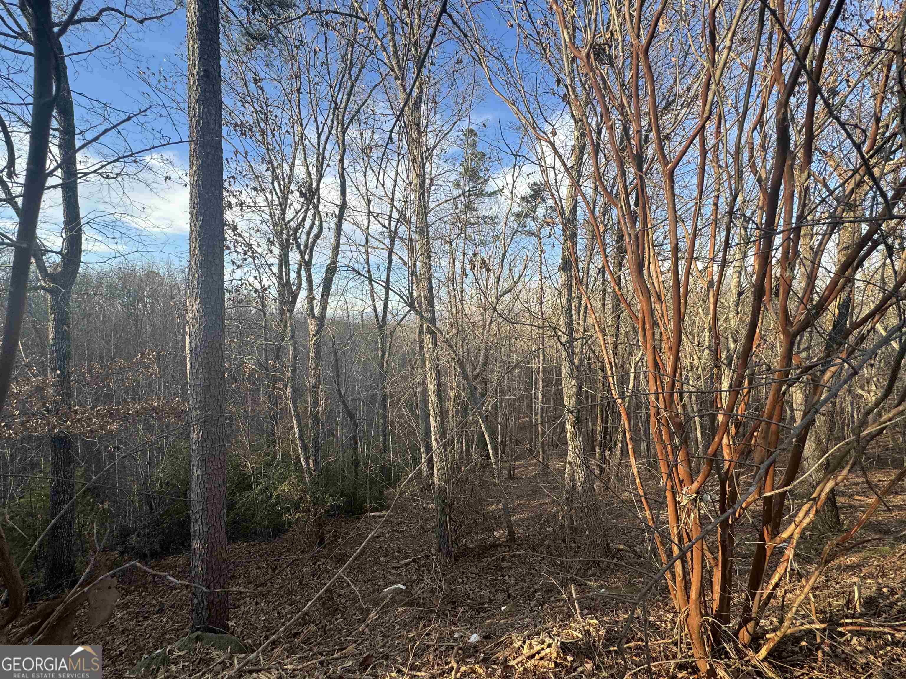 LOT 57 Teel Mtn DR