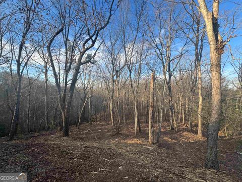 LOT 57 Teel Mtn DR Cleveland GA 30528