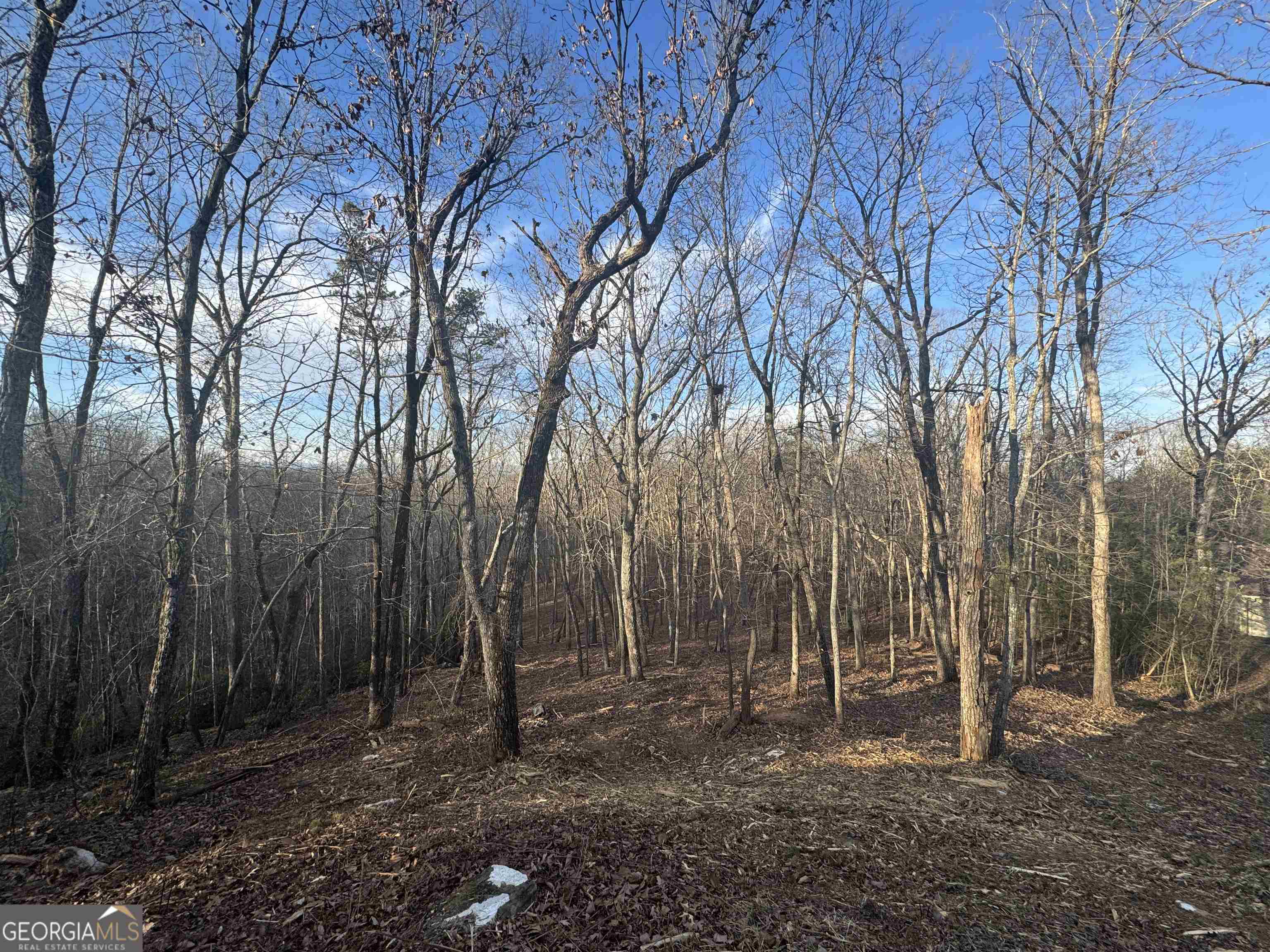 LOT 57 Teel Mtn DR