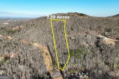 Photo of 739 Turner Ridge Drive, Cleveland, GA 30528 (MLS # 10788898)