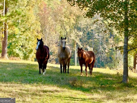 175 ACRES Roosevelt HWY Warm Springs GA 31830