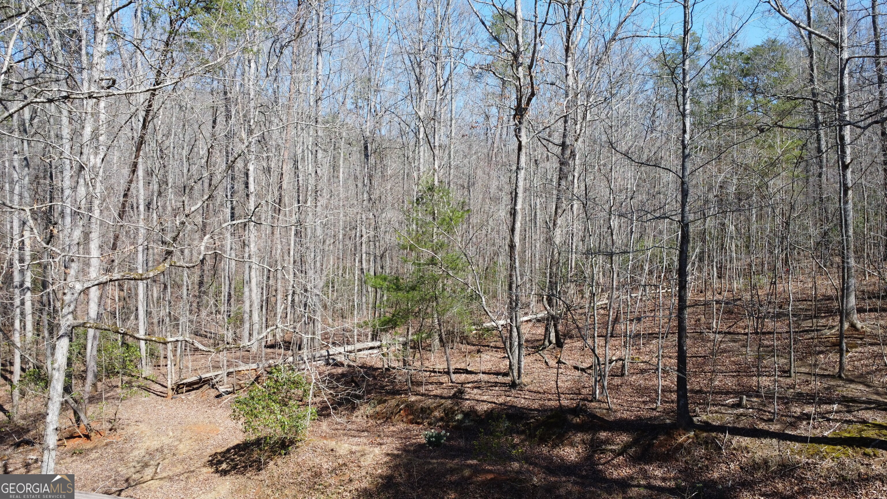 846 Funny Farm RD