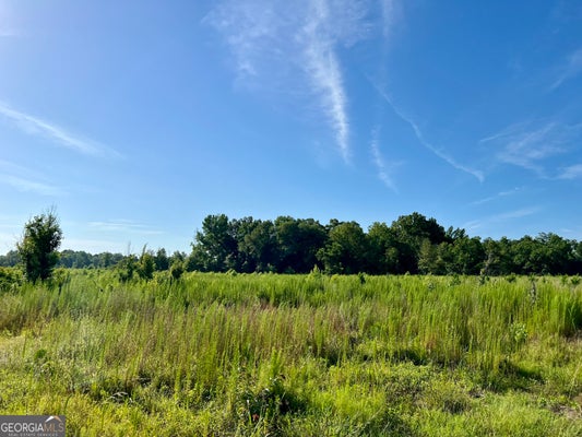 0 TUCKER GROVE CHURCH ROAD, WRIGHTSVILLE, GA 31096 - Image 12ea2ed1b6c3d9a37aa3f57ea661ac0c/1045211352