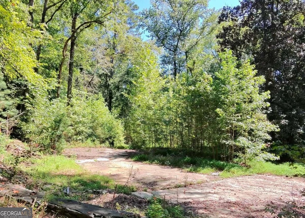 Photo of 4824 Flakes Mill Road, Ellenwood, GA 30294 (MLS # 10849334)