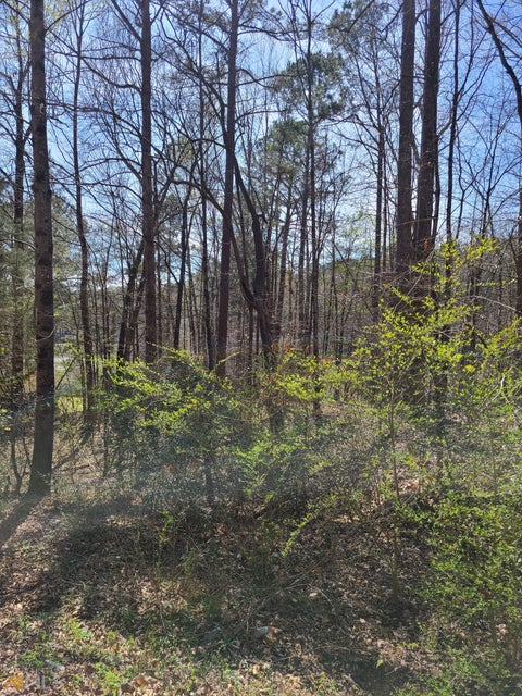 Featured picture for the property 10141381