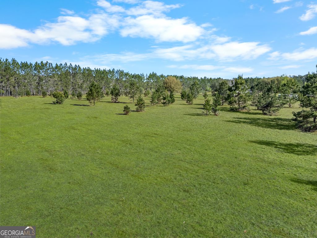 Photo of 0 Old Louisville Road, Guyton, GA 31312 (MLS # 10726919)