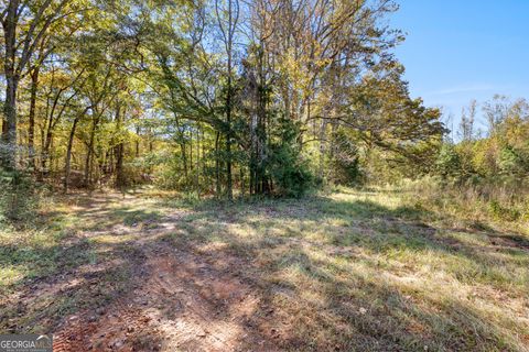 Photo of 0 Bankston Road, Meansville, GA 30256 (MLS # 10646721)