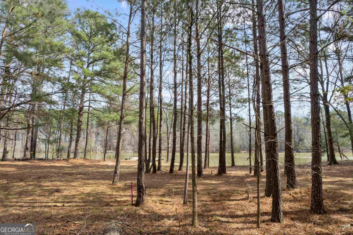 1071 Jacobs Creek RD