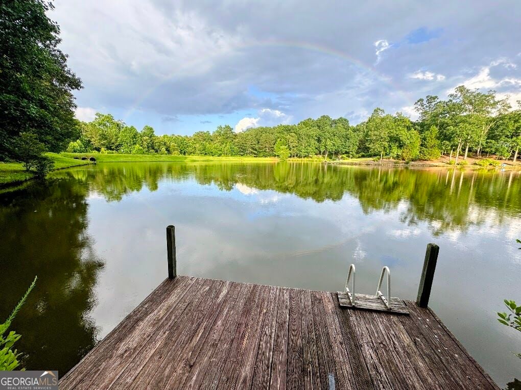 Photo of 308 Laurel Lakes Drive, Carrollton, GA 30116 (MLS # 10850134)