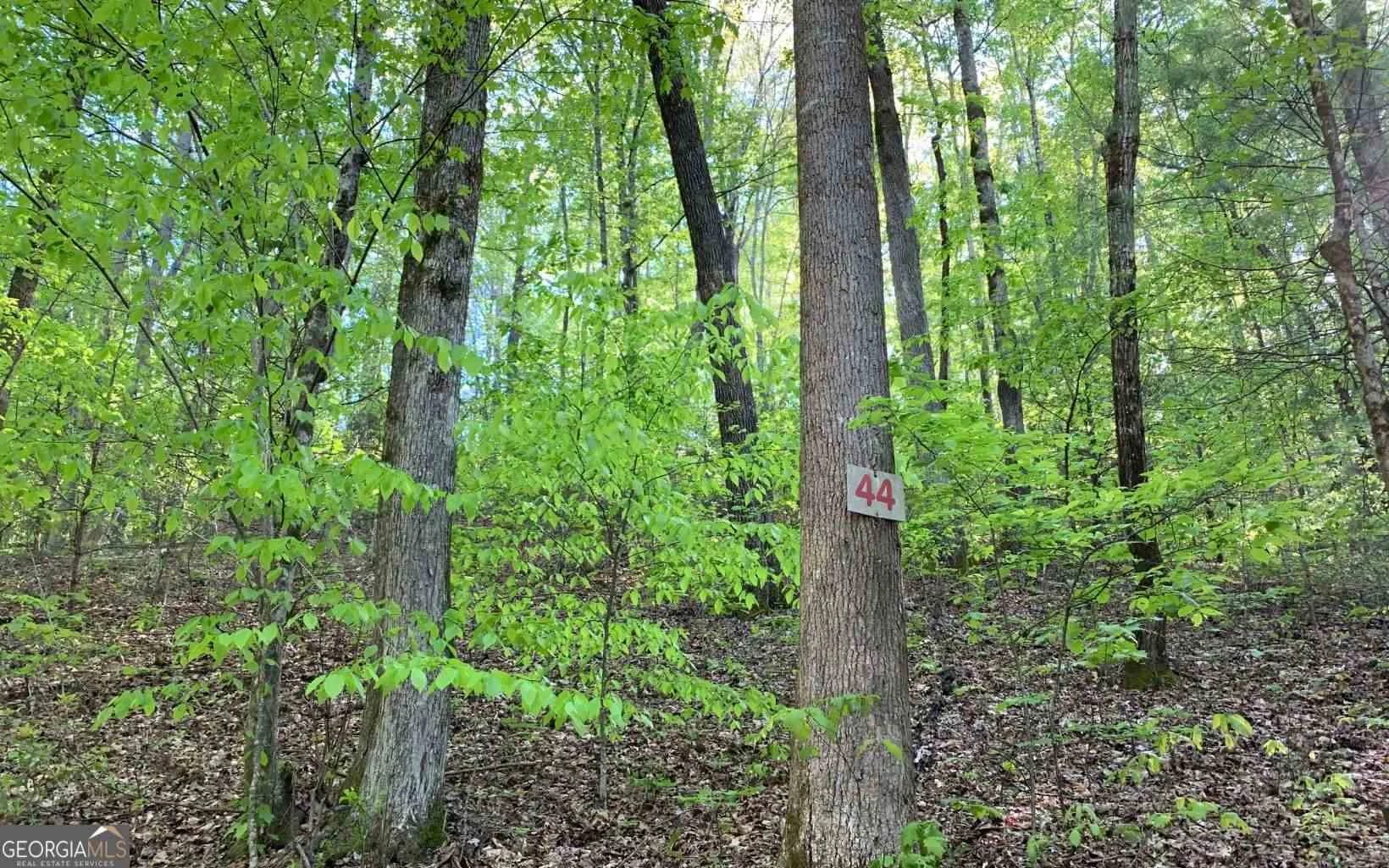 LOT 44 Fires Creek Cove