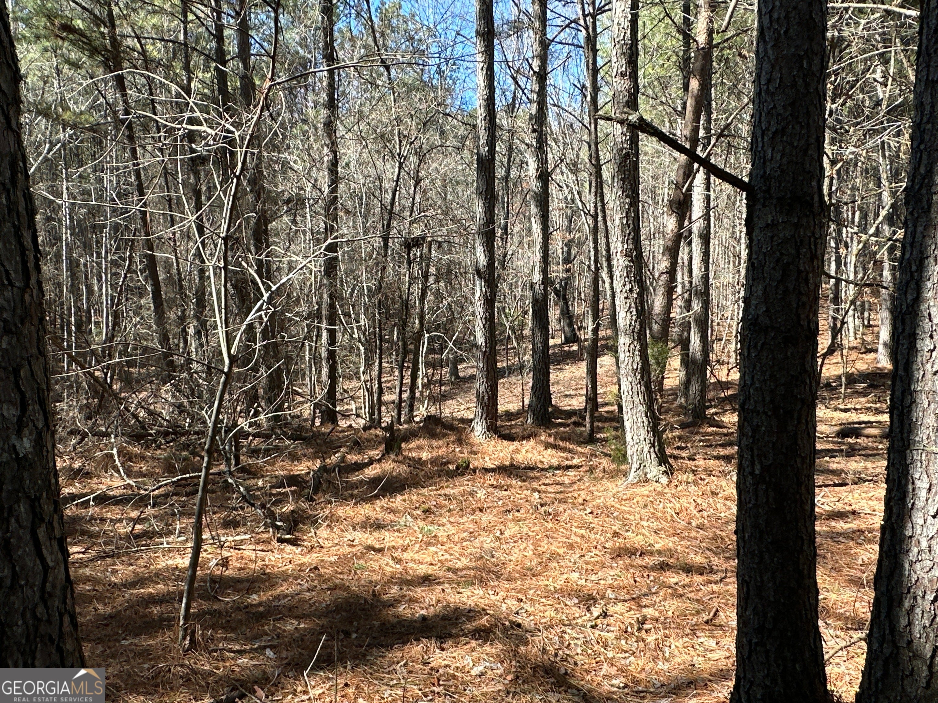3472 Prior Station RD