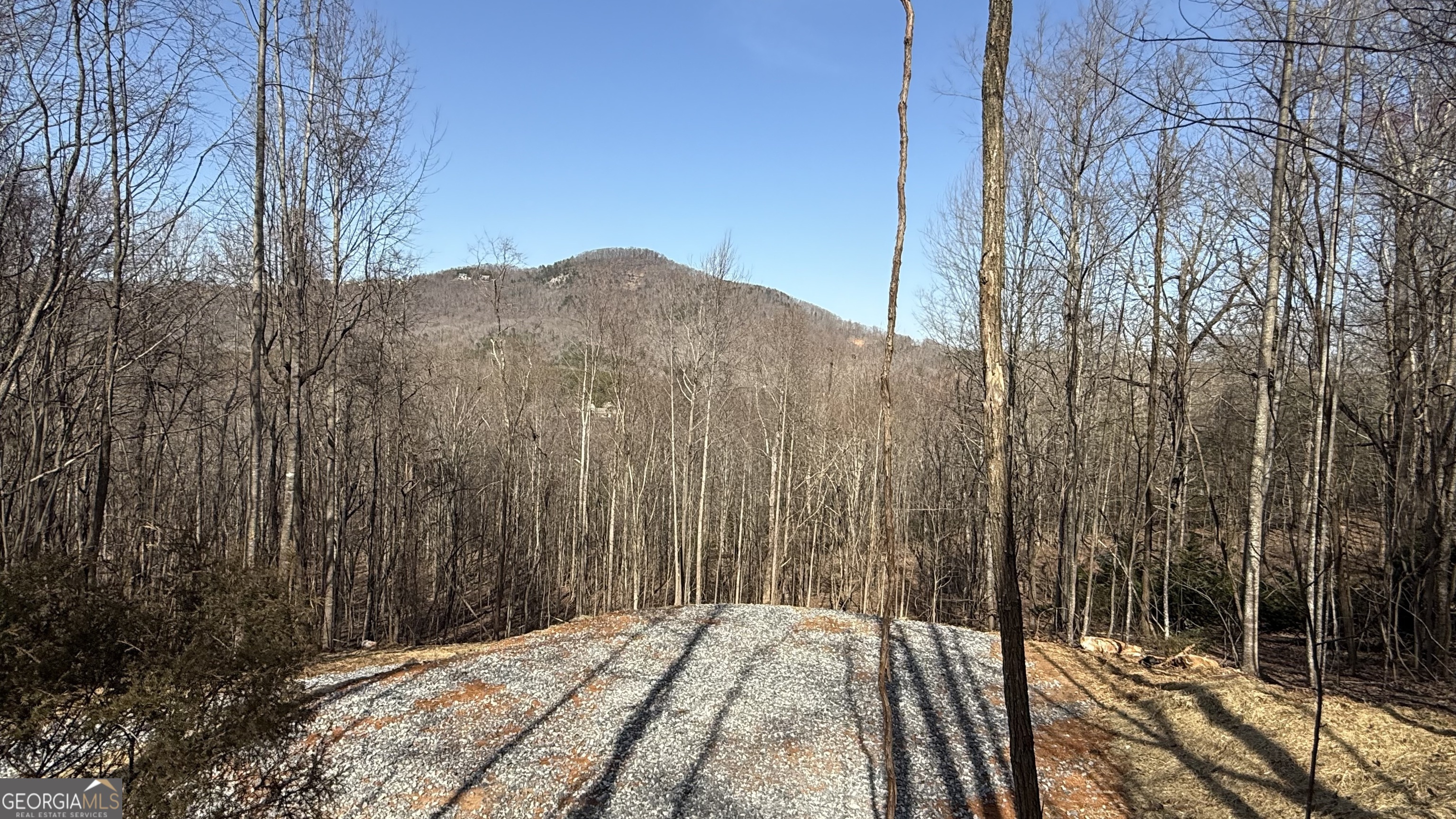 Check out this 2+ acre lot with gorgeous a Mountain View! The Seller has the Driveway in place, and soils have been completed. It is It is a clean slate for your dream home in the North GA Mountains. This property is located in the sought after, Alpine Terrace community, in Sautee Nacoochee! It is conveniently located only minutes from Helen, Cleveland, Clarkesville, Lake Burton and more! Don't let this one slip away!