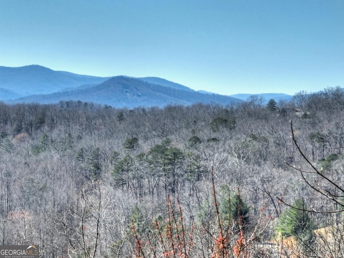 195 Trina LN 135