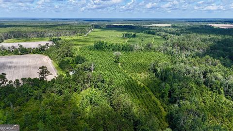 Photo of 0 Bennett Mill Pond, Odum, GA 31555 (MLS # 10561596)