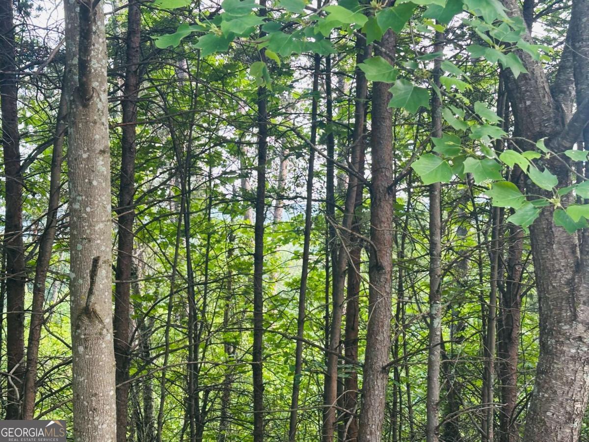 Heavily wooded basement lot with fabulous long range sunset views located in quaint gated community minutes from downtown Dahlonega. This awesome neighborhood offers sewer, water, natural gas, wide streets, and street lights. Neighborhood also includes swim/tennis & pickle ball courts. Lot would be best to buy with contiguous Lot 28. Dahlonega has been awarded as the safest and best place to live in the Southeast region. Also voted top 4 by Southern Living Magazine as best town to retire in the Nation. Located in an outdoor haven being at the foot hills of the Appalachian Trails and Blue Ridge Mountains with the Etowah and Chestatee River for fishing, canoeing, kayaking, and tubing. A very vibrant downtown square with great shopping and restaurants. Also nestled in the heart of the wine and distillery culture providing a nonstop fun and safe place to call home. 2100 square ft. minimum for single level, 2300 square ft. minimum for multiple stories with 1800 square ft. minimum on main level. Can bring your own builder. Must go through a vetting process with ARCC. This is a covenanted community.