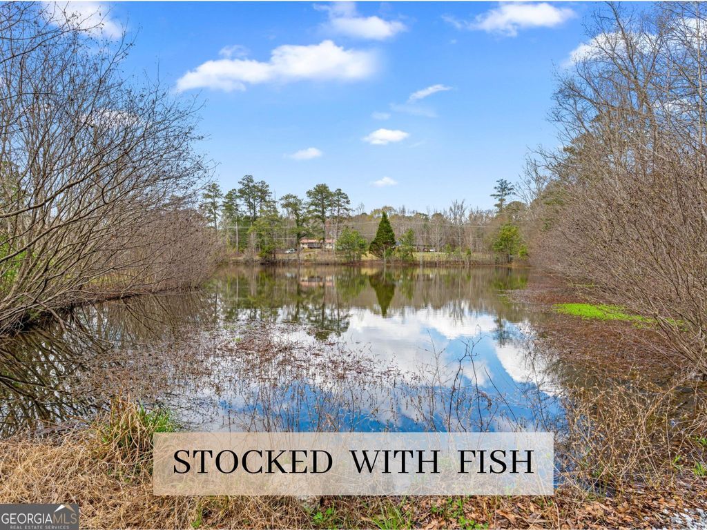 Photo of 6780 Johnson Road, Palmetto, GA 30268 (MLS # 10756434)
