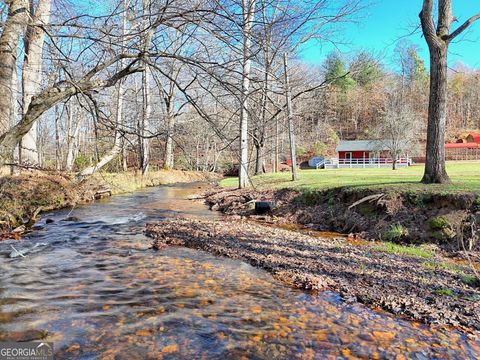 A home in Hiawassee