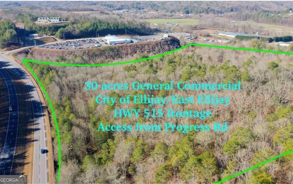 Photo of 944 Progress Road, East Ellijay, GA 30540 (MLS # 10756356)