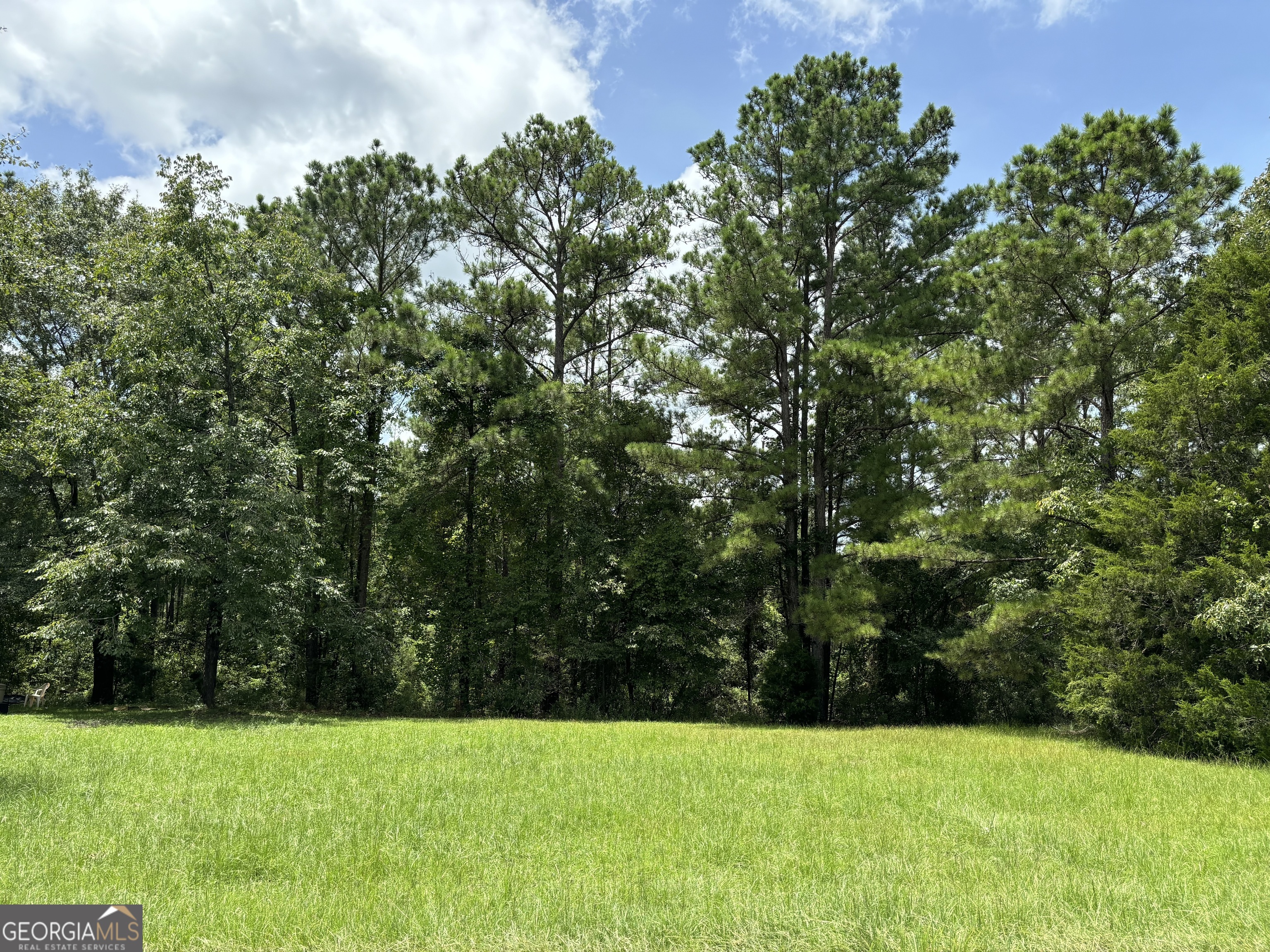 View Cusseta, GA 31805 property