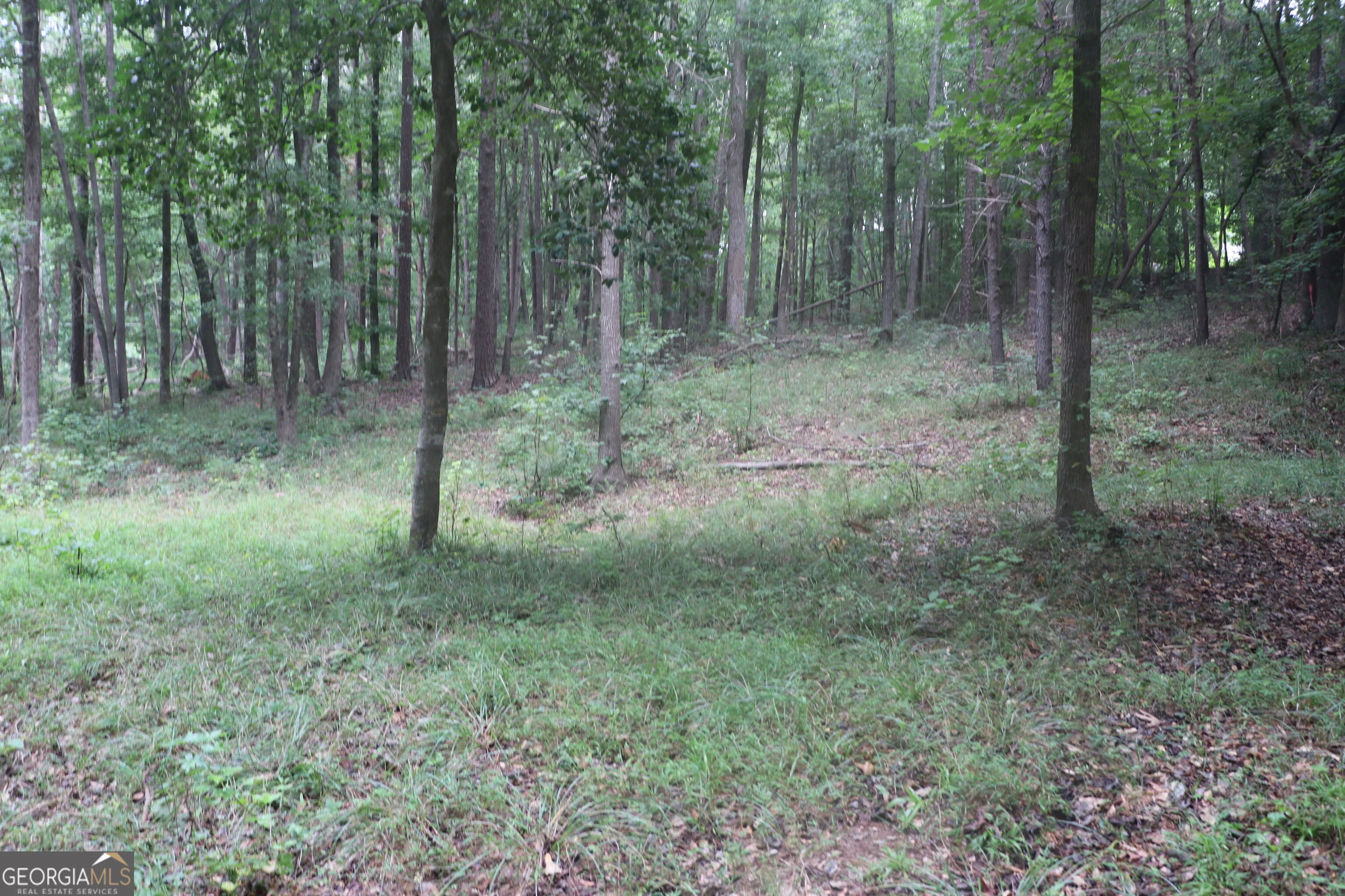 330 Mountain View Road, Lavonia, GA, 30553