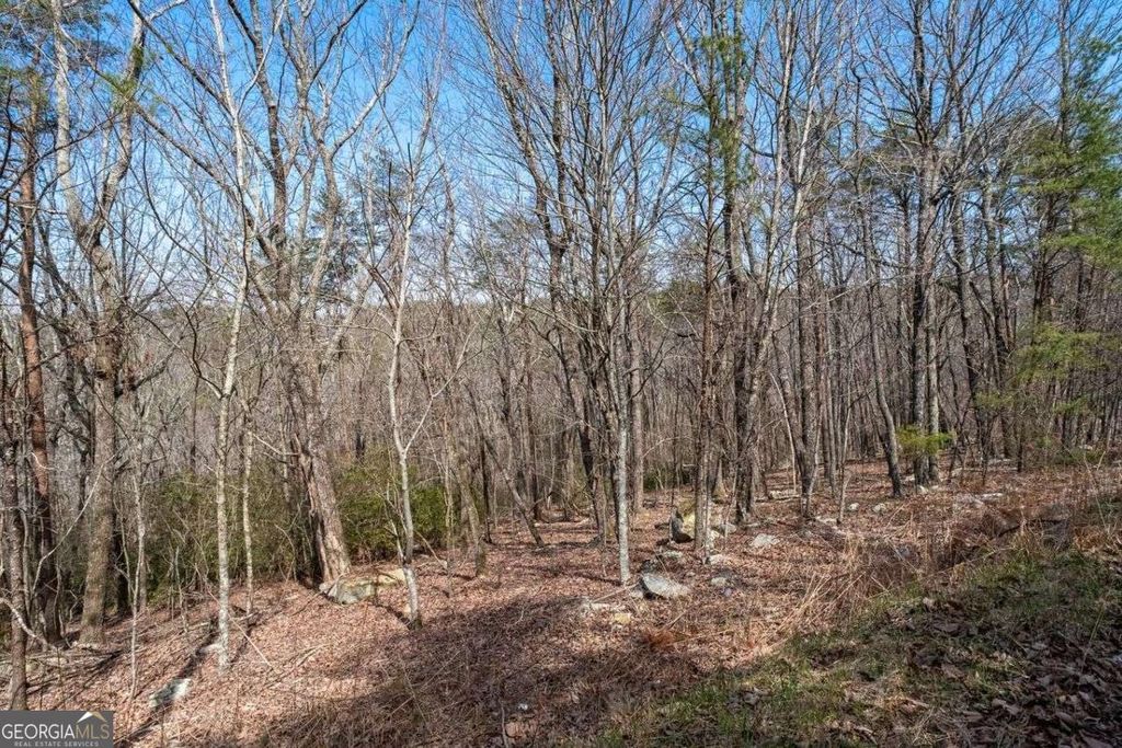 Photo of 0 Mulberry Circle, Jasper, GA 30143 (MLS # 10716960)