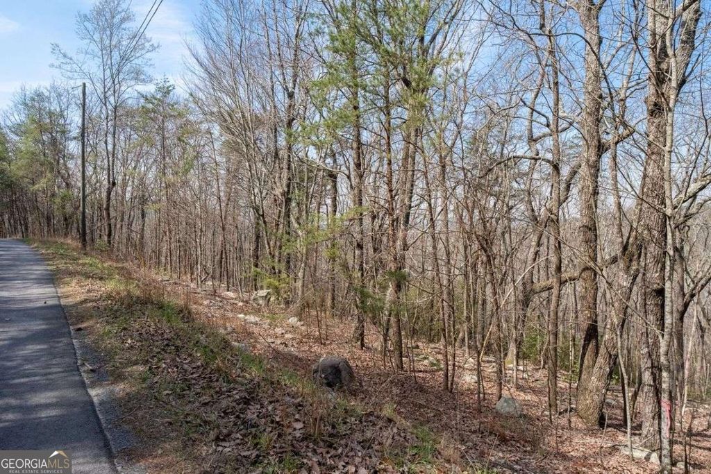 Photo of 0 Mulberry Circle, Jasper, GA 30143 (MLS # 10716960)