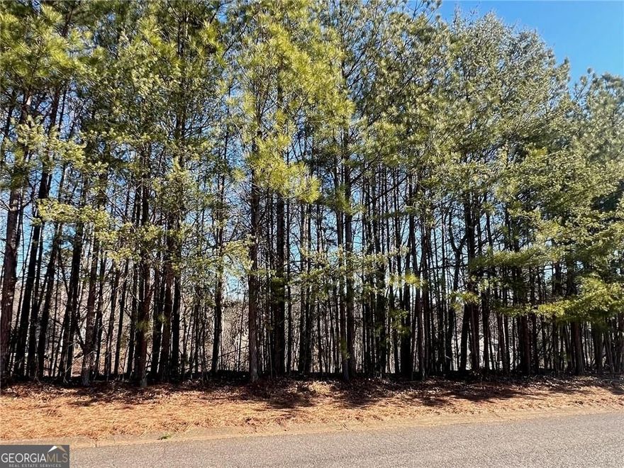 This beautiful 0.69-acre lot is nestled in the highly desirable Silver Creek neighborhood, offering the perfect setting for your custom basement-style home. The lot is thoughtfully positioned off the main road, ensuring privacy and tranquility, with a lush wooded backdrop providing a serene natural atmosphere. As one of three adjoining lots currently available (see FMLS 7678198 & 7678227), this is a rare opportunity to build an established community that combines charm and convenience. Located in Silver Creek, it is just a short 15-minute drive to both Canton and Jasper, providing easy access to shopping, dining, and entertainment. Don't miss out on the chance to create your dream home in this prime location.