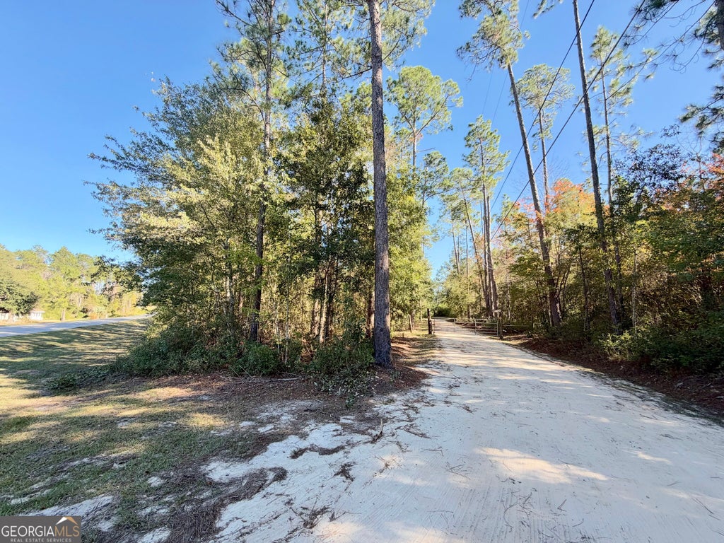 Photo of 699 Pat Dixon Road, Hazlehurst, GA 31539 (MLS # 10880624)