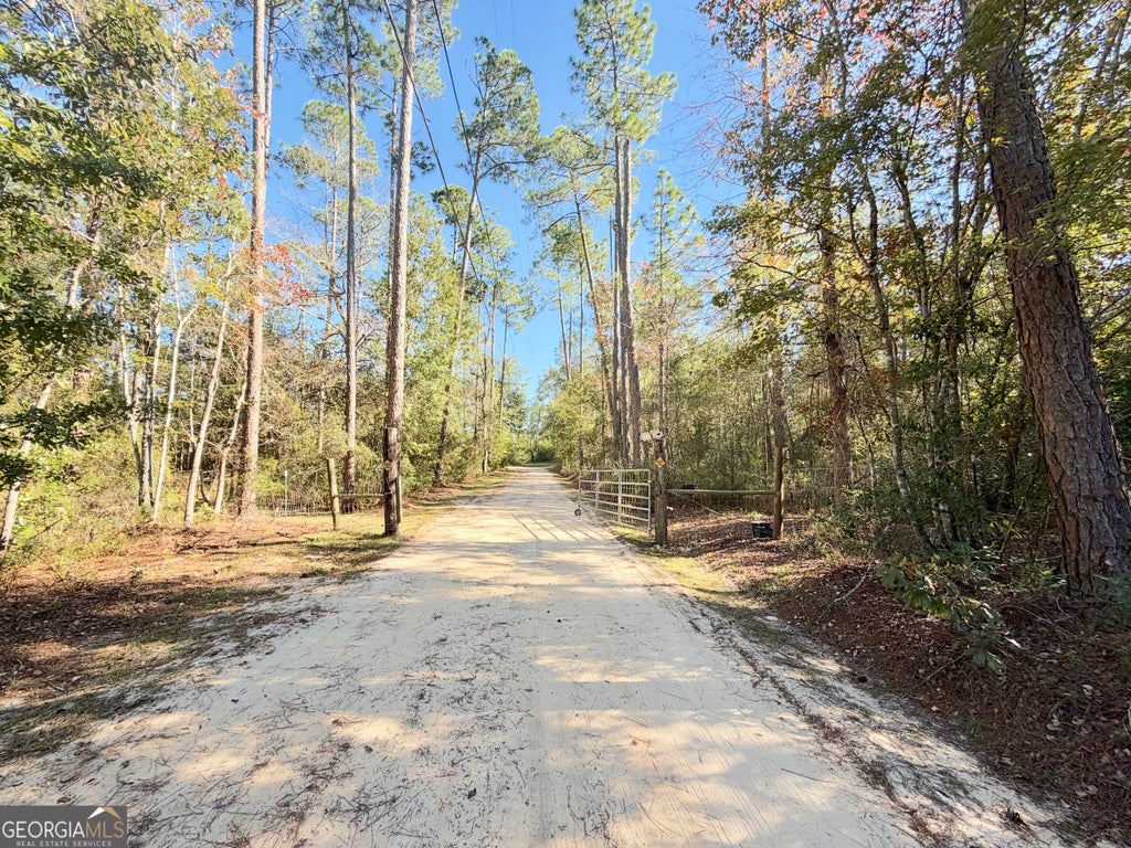 Photo of 699 Pat Dixon Road, Hazlehurst, GA 31539 (MLS # 10880624)