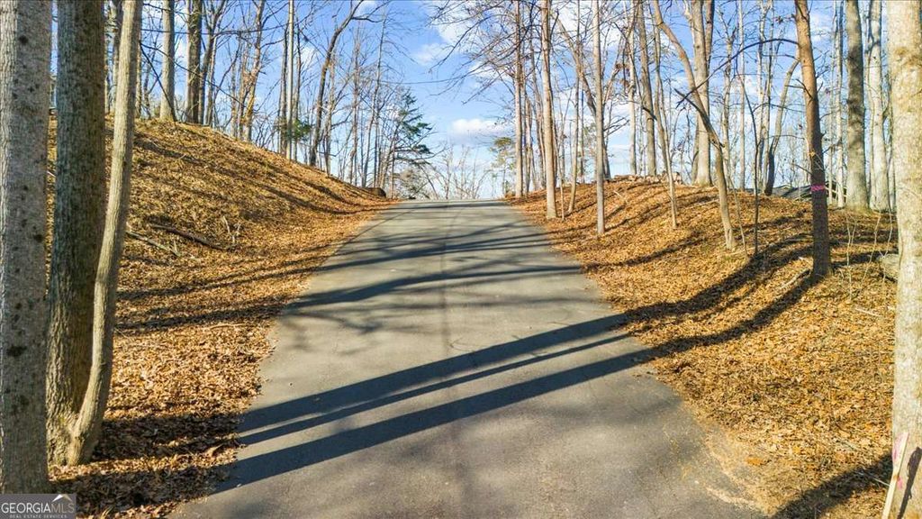 Photo of 0 Happy Hollow Trail, Gainesville, GA 30506 (MLS # 10688880)