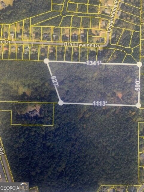 Photo of 294 Oakridge Drive, Forsyth, GA 31029 (MLS # 10870575)