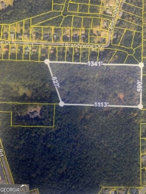 Photo of 294 Oakridge Drive, Forsyth, GA 31029 (MLS # 10870575)