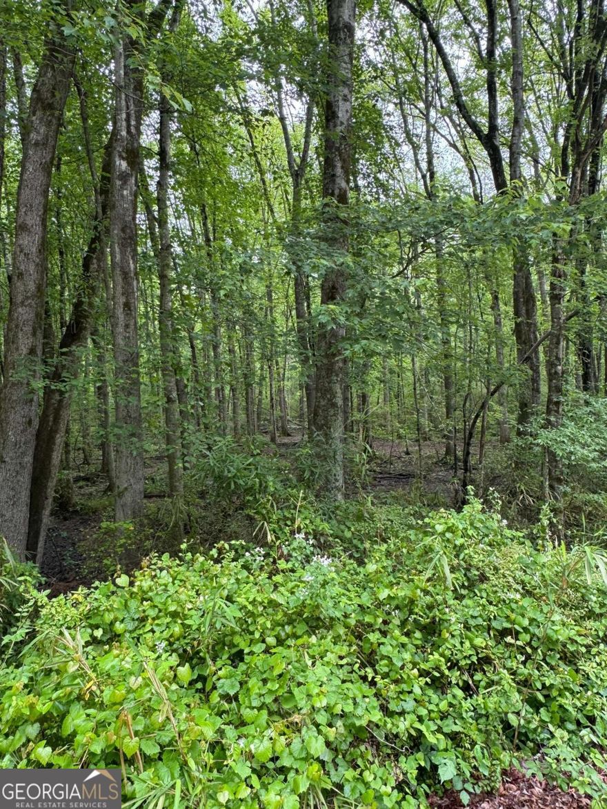 This is a beautiful wooded lot of land that is near many other residential properties in Cobb County.  Mud Creek runs through the middle of this rectangular-shaped lot.  Please note this lot is in a flood zone (code AE).  Per tax records:  "Areas subject to inundation by the 1-percent-annual-chance flood event determined by detailed methods. Mandatory flood insurance purchase requirements and floodplain management standards apply."  Lots are being sold independently of one another.  Please reach out with any questions!