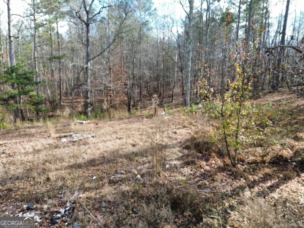 Photo of 881 S Little New York Trail, Whitesburg, GA 30185 (MLS # 10656214)