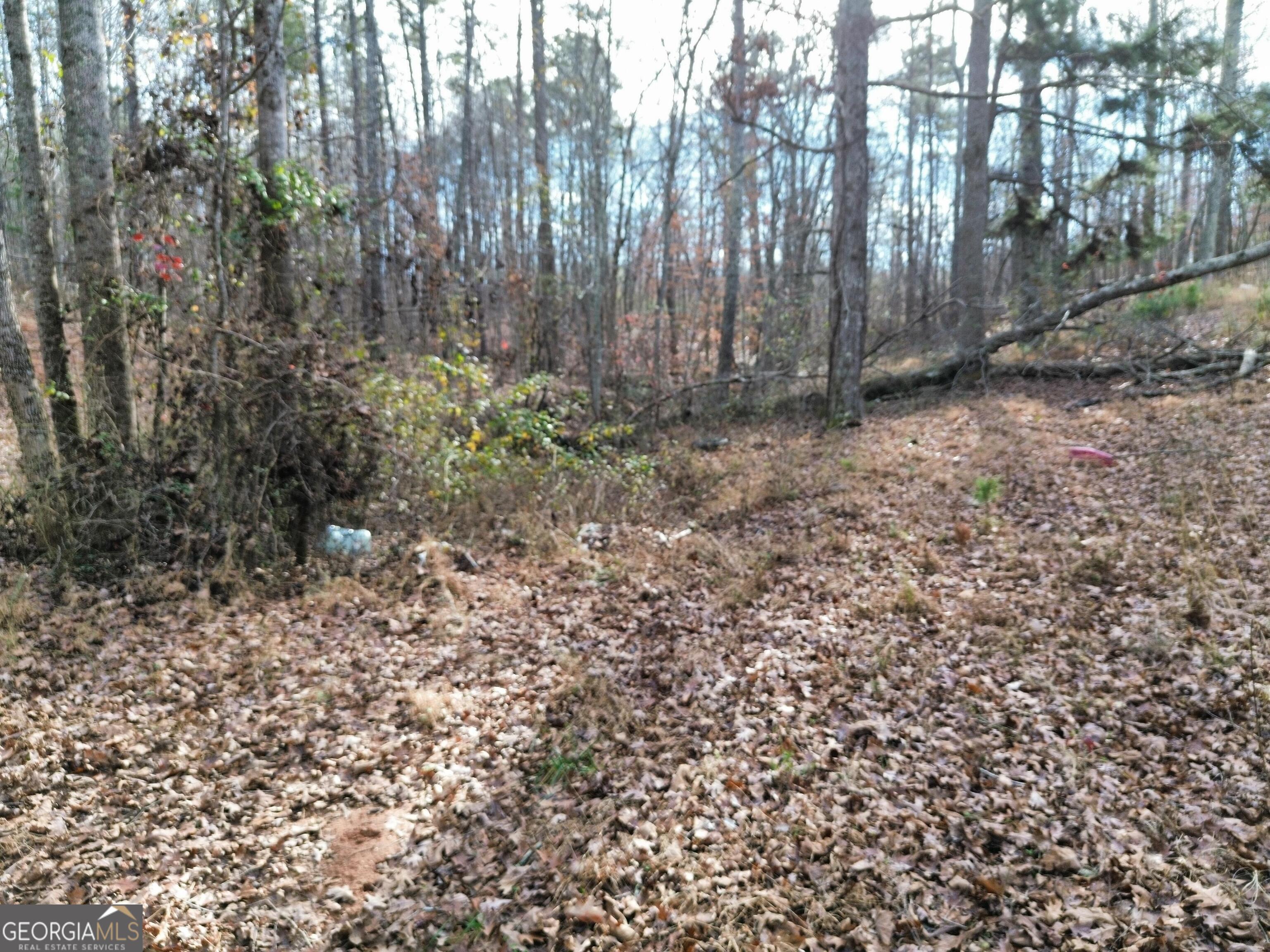 881 S Little New York TRL