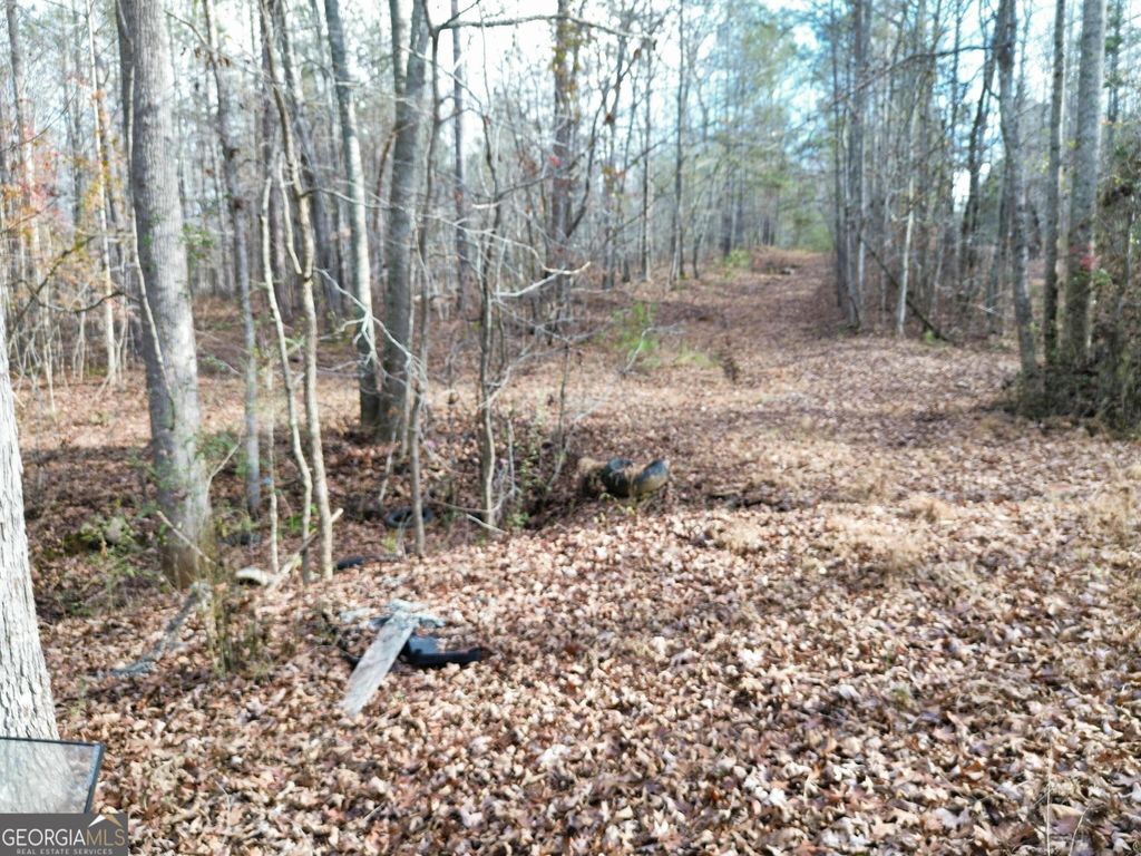 Photo of 881 S Little New York Trail, Whitesburg, GA 30185 (MLS # 10656214)