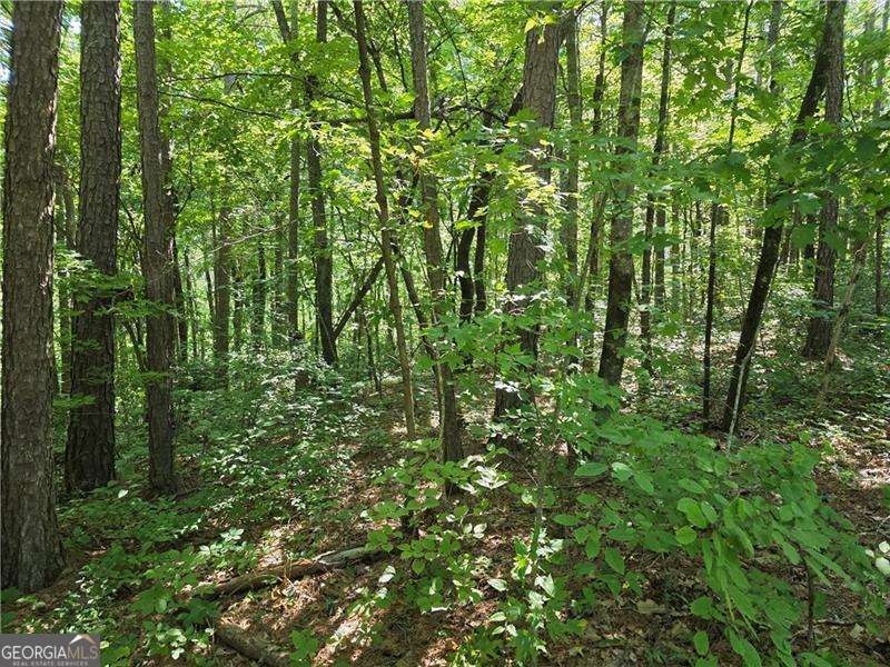 For Sale three beautiful wooded 5+ acre lots with creek frontage. This property is full of mature hardwoods and pines, springs a creek and tons of wildlife! It has county water, underground utilities, great road frontage and access! The property has tremendous development potential It can be subdivided after the purchase or kept as an estate property. It is zoned Rural Residential with a minimum lot size of 1.5 acres. The property is less than 40 minutes from downtown Canton, Jasper and Dawsonville. It is less than 2 miles from Gibbs Garden and two fire stations. It is about an hour's drive from Woodstock and Cumming. It is a great location with a country setting with close proximity to major retail centers and recreational opportunities. It is just minutes from the mountains of north Georgia.