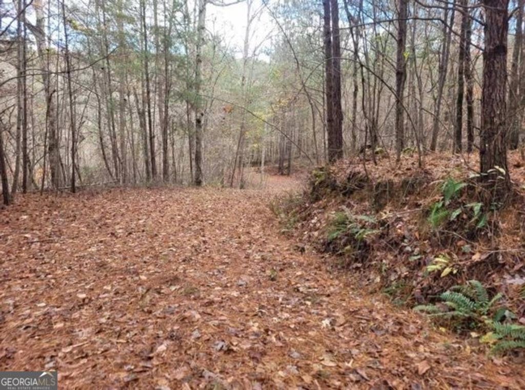 Photo of 1822 Talona Road, Ellijay, GA 30540 (MLS # 10775865)