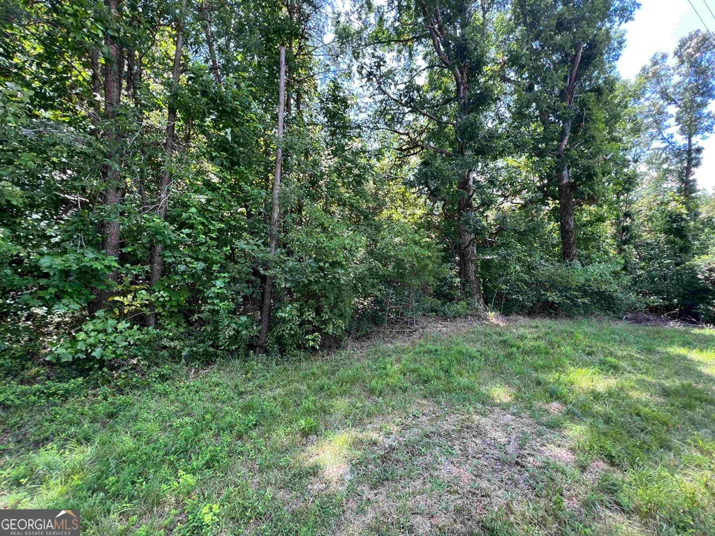 Photo of 0 W Kytle Street, Cleveland, GA 30528 (MLS # 10836064)